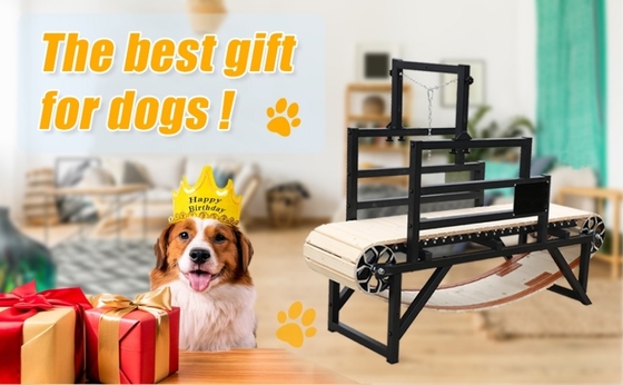 Установленный размер Alipetsmile Pet Dog беговая дорожка тренировать вашу собаку с легкостью и эффективностью