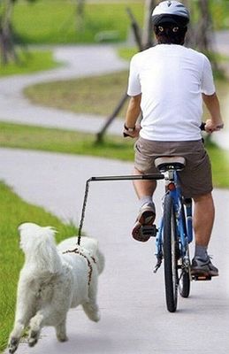 Все велосипеды Легко устанавливать Велосипед Собачьи ремни Безопасность Собачьи велосипедные ремни Подходит для черного