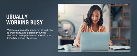 Устойчивая машина для прогулок собак на заказ SAP вес и гибкость оборудование для активных щенков